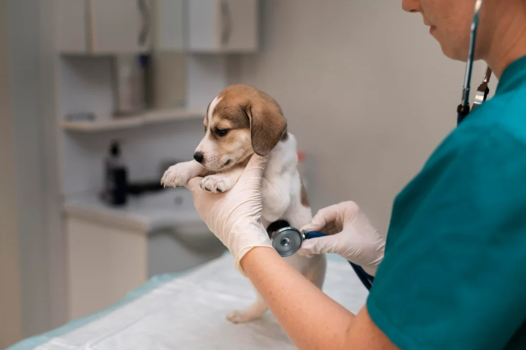 prodotti per veterinari
