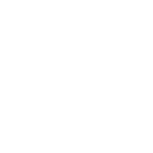vision